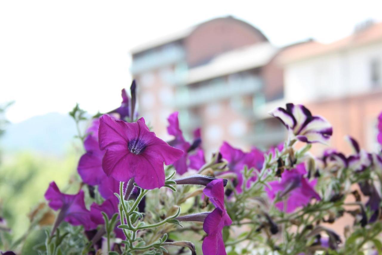 A Casa Romar Bed & Breakfast ตูริน ภายนอก รูปภาพ